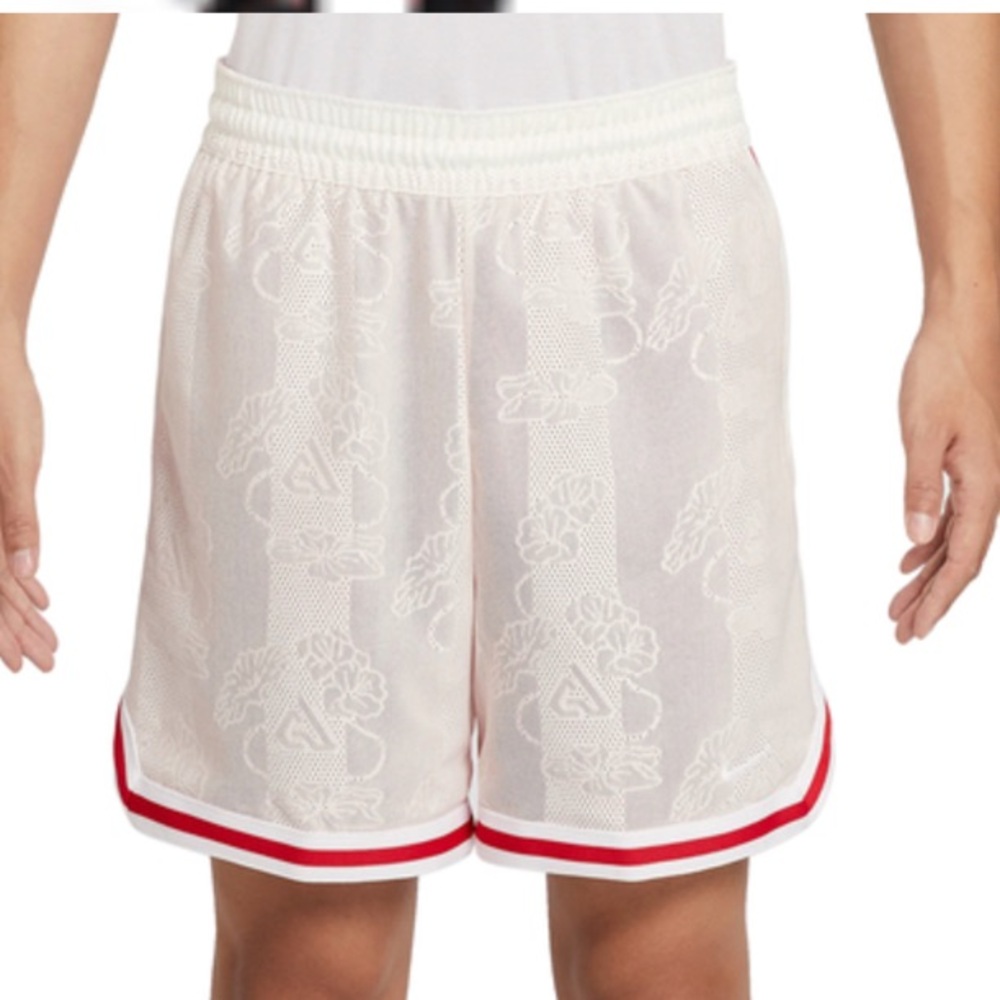 NIKE GIANNIS DNA DRI-FIT NBA 6 INCHES SHORTS